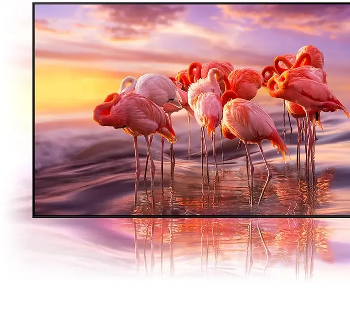 Samsung Neo QLED 4K TV QN95A 55 Zoll GQ55QN95AATXZG , Quantum HDR 2000, Quantum Matrix Technologie, One Cable Solution 2021 Energieklasse G