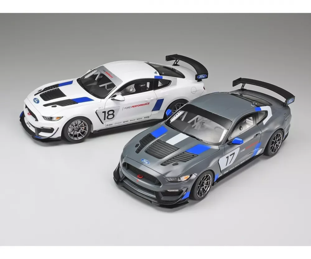 Tamiya 1:24 Ford Mustang GT4 300024354