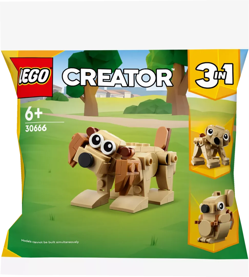 LEGO 30666 Geschenkset mit Tieren