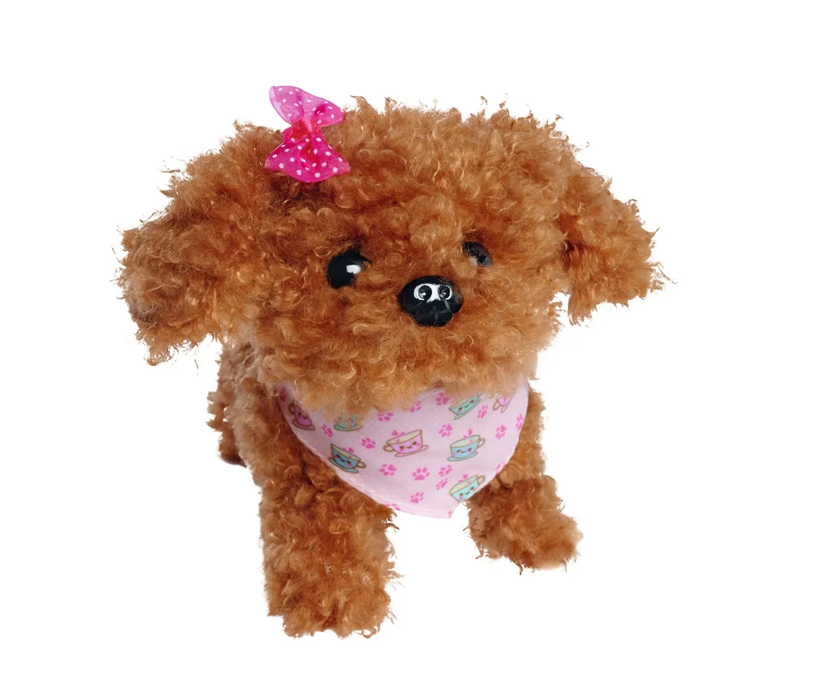 Simba CCL Tea Cup Poodle Puppy (105890015)