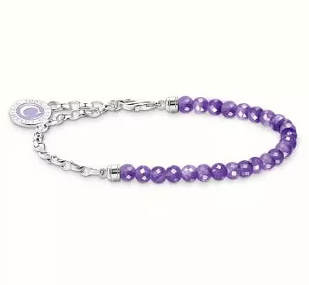 Thomas Sabo Armband, Charm, Silber/Violett 15Cm (A2130-007-13-L15v)