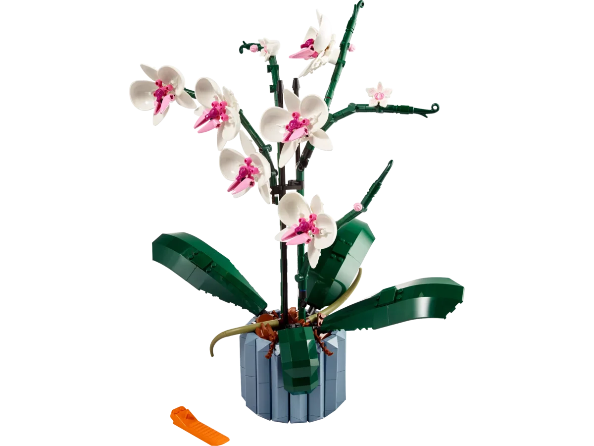 LEGO 10311 Orchidee