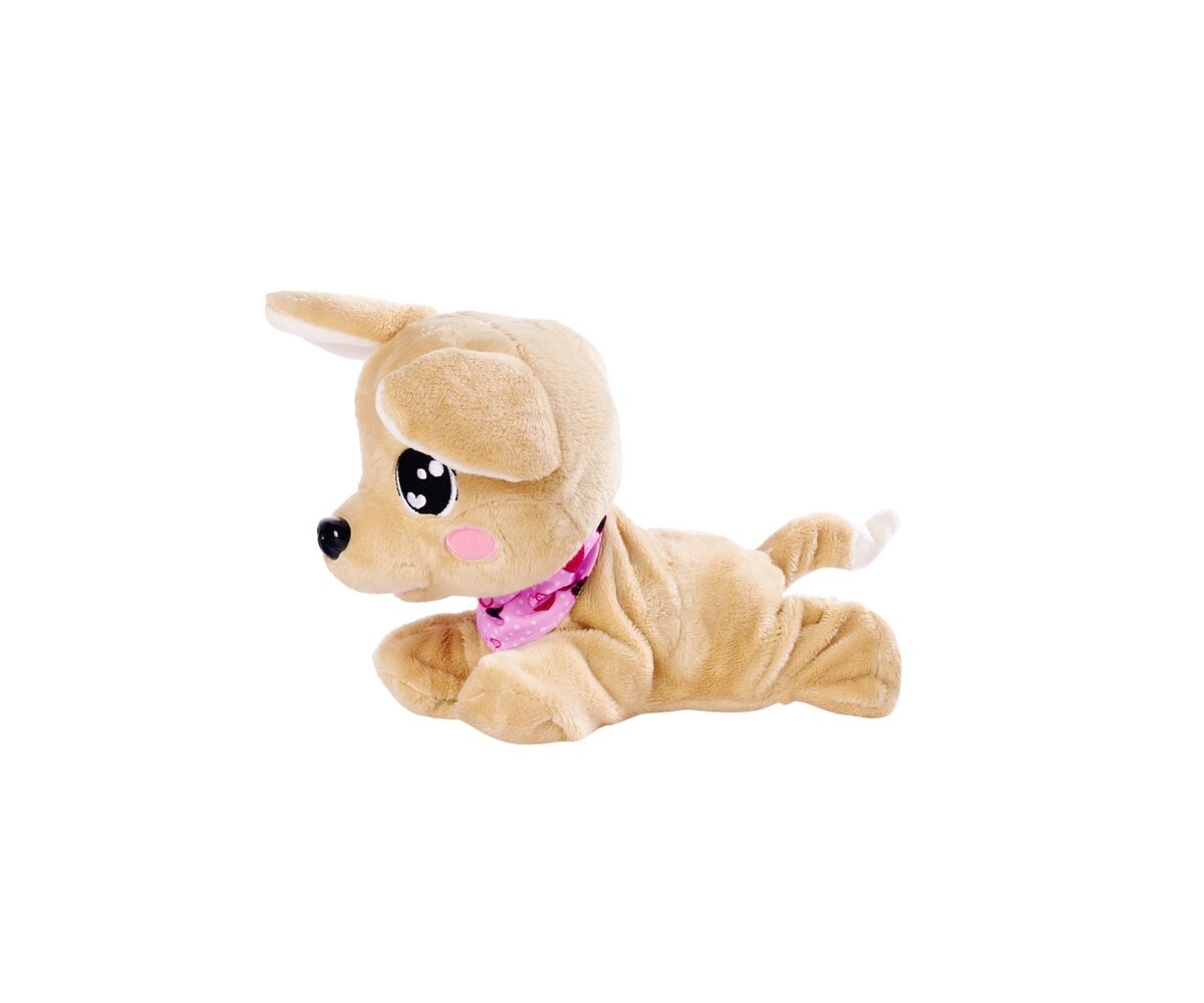 Simba_CCL_Baby_Boo_(105893500)
