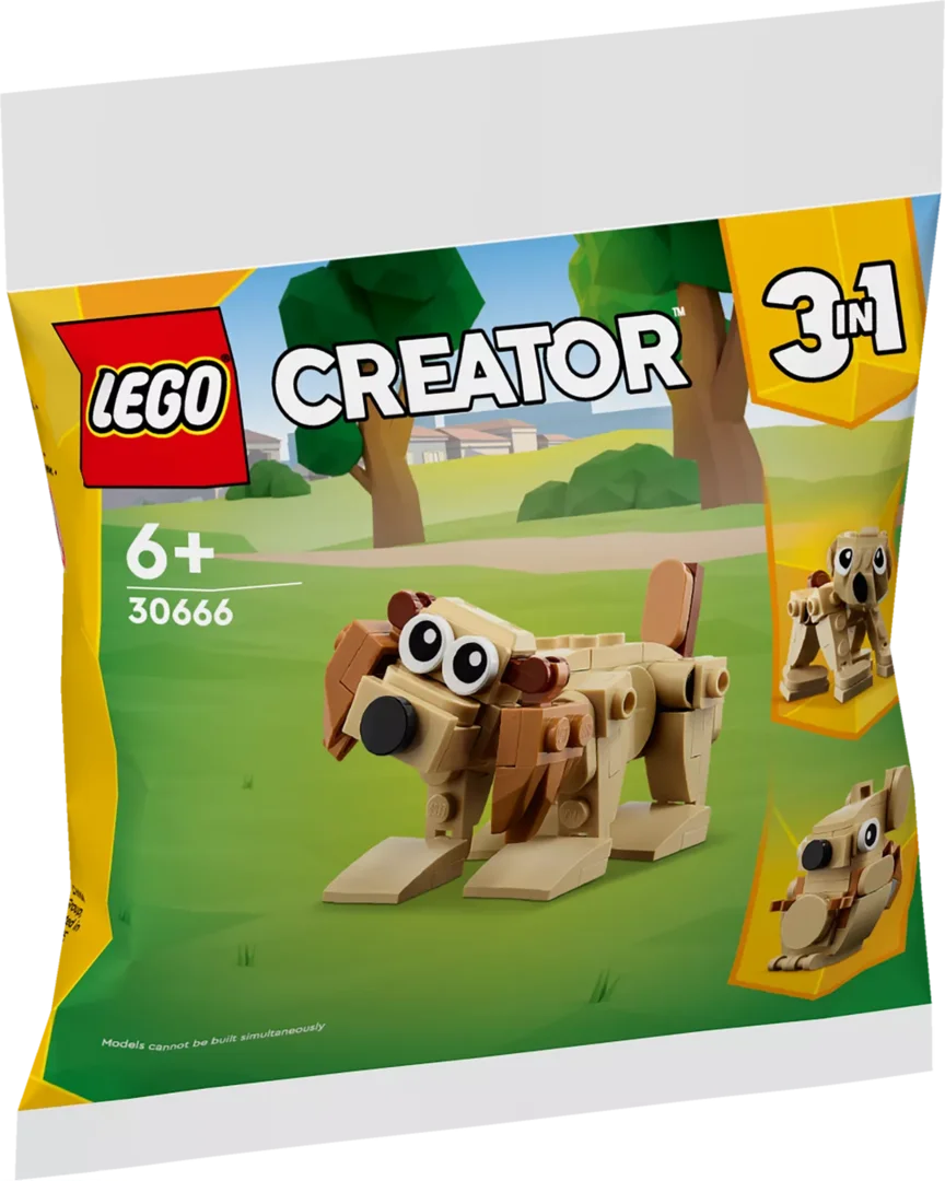 LEGO 30666 Geschenkset mit Tieren